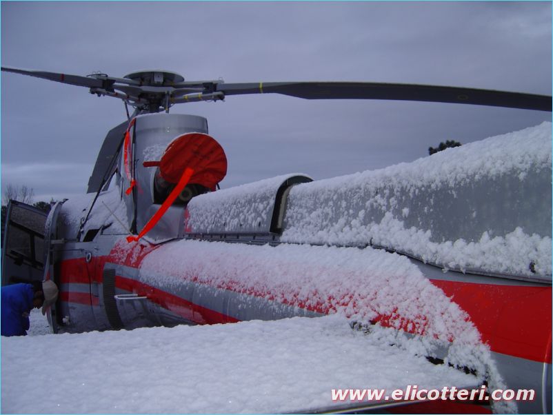elifoto (46)